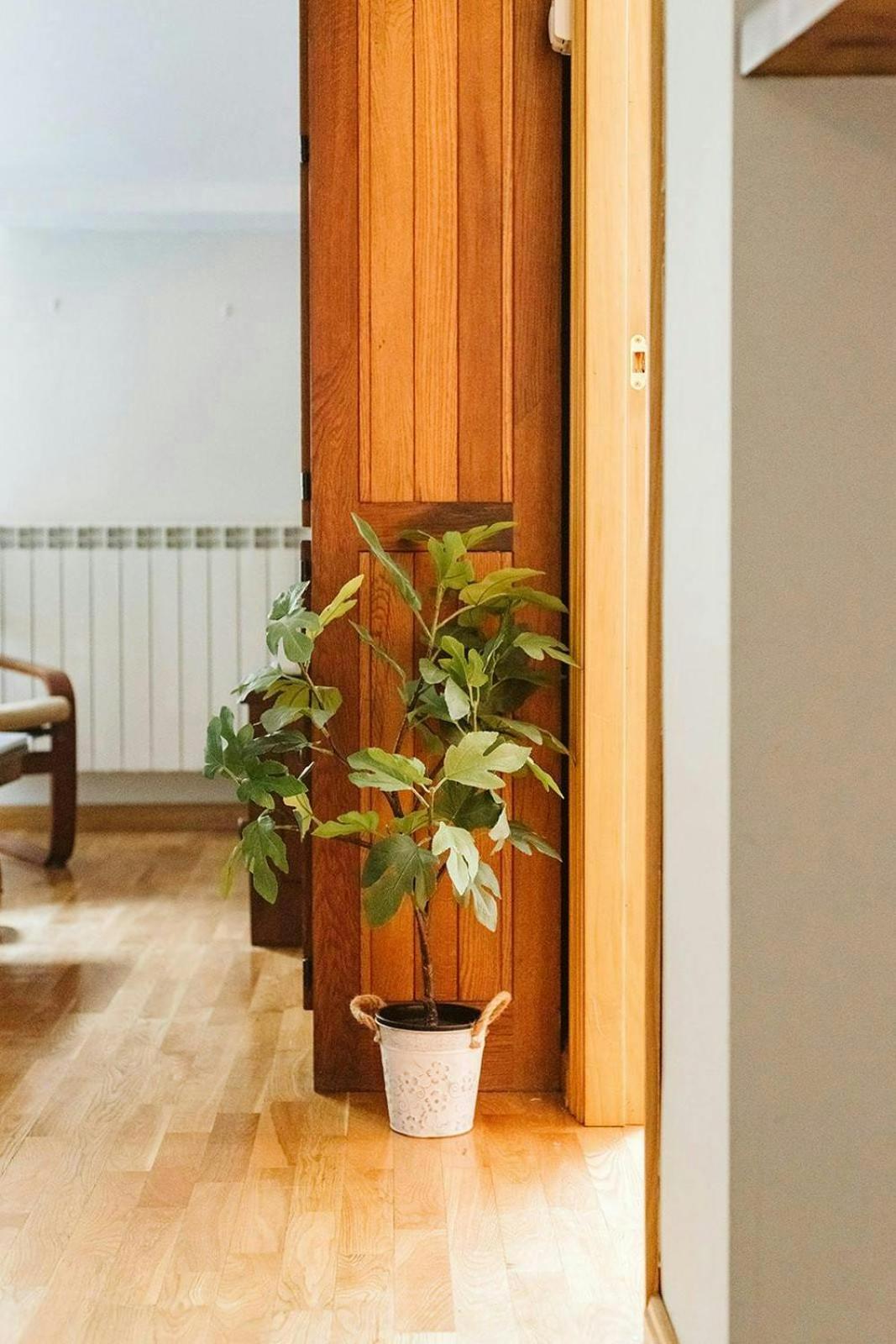 Casa Begona - Wifi Sencillo Y Acogedor Apartamento Sallent de Gállego Exterior foto